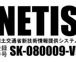 NETIS SK-080009-VE