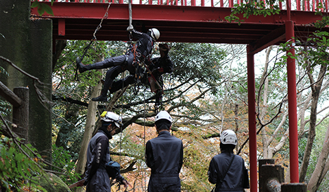 間近で技術者を見るインターン生